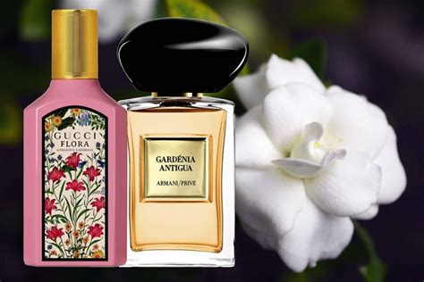 best gardenia perfume 2023|gardenia jasmine and honeysuckle perfume.